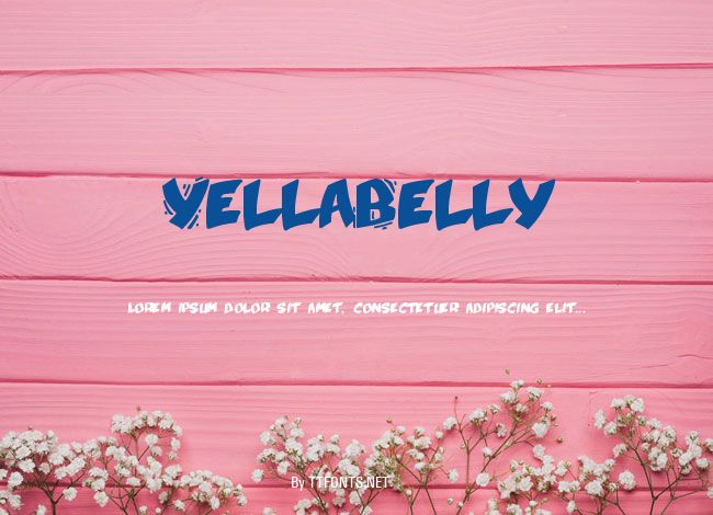 YellaBelly example