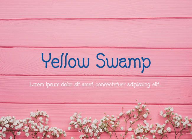 Yellow Swamp example