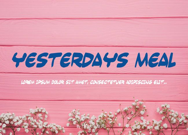 Yesterdays meal example