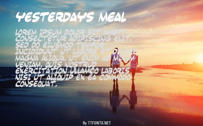 Yesterdays meal example