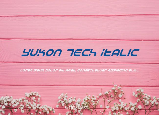 Yukon Tech Italic example