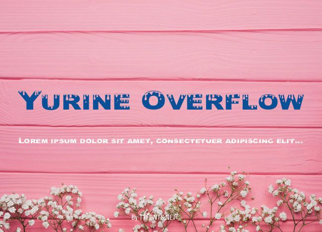 Yurine Overflow example