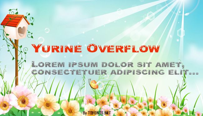 Yurine Overflow example