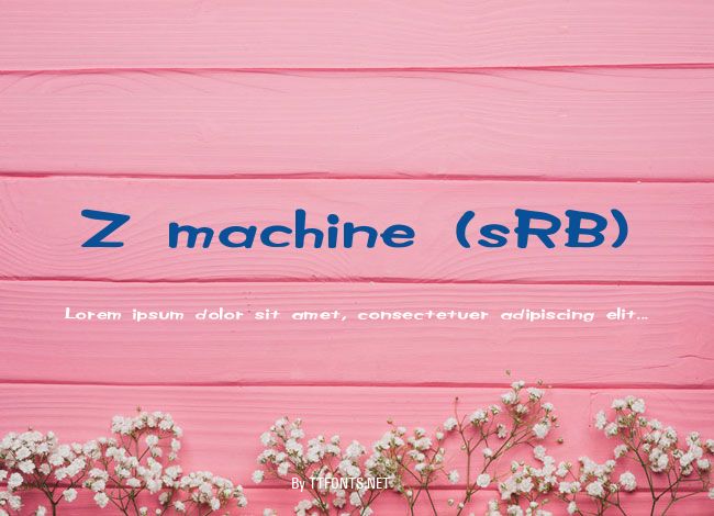 Z machine (sRB) example