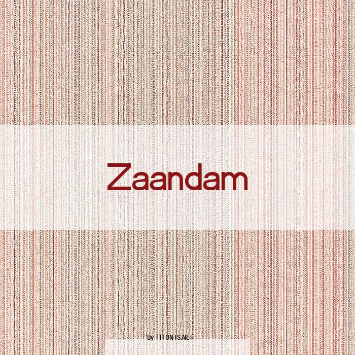 Zaandam example