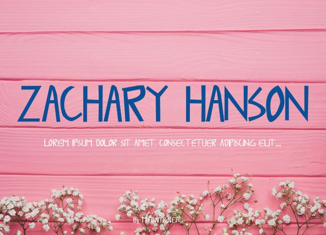 Zachary Hanson example