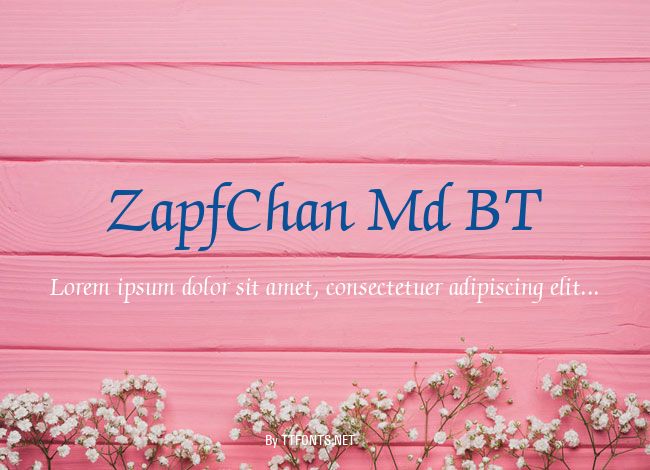 ZapfChan Md BT example