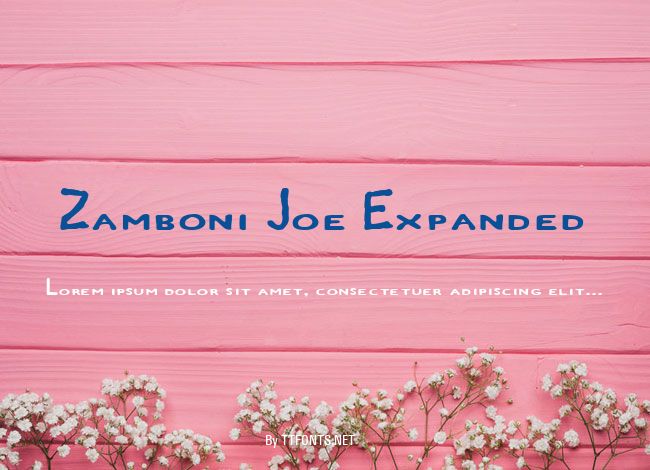 Zamboni Joe Expanded example
