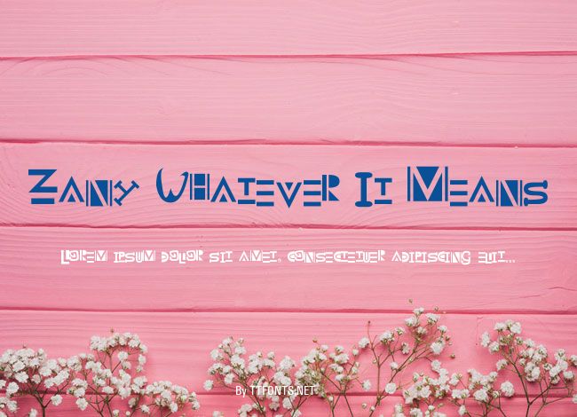Zany Whatever It Means example