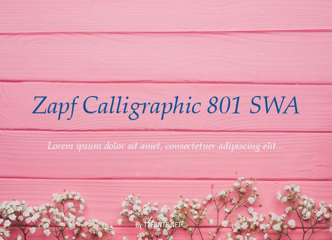 Zapf Calligraphic 801 SWA example
