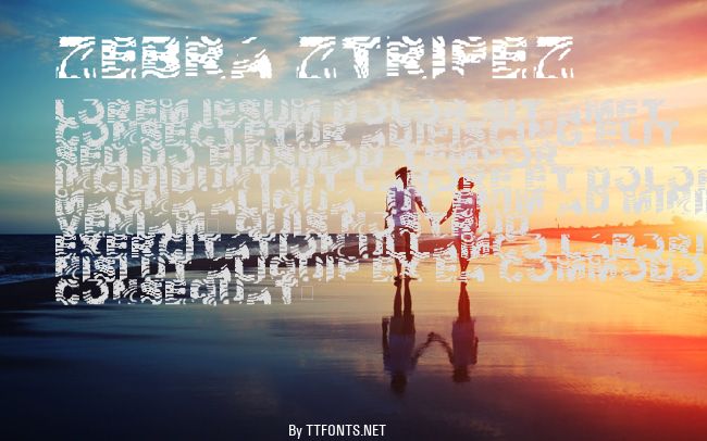 Zebra Ztripez example