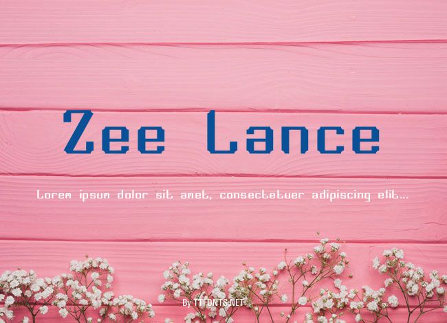 Zee Lance example