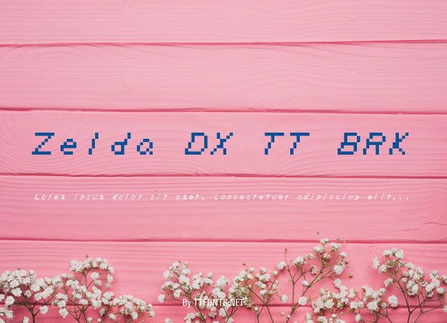 Zelda DX TT BRK example