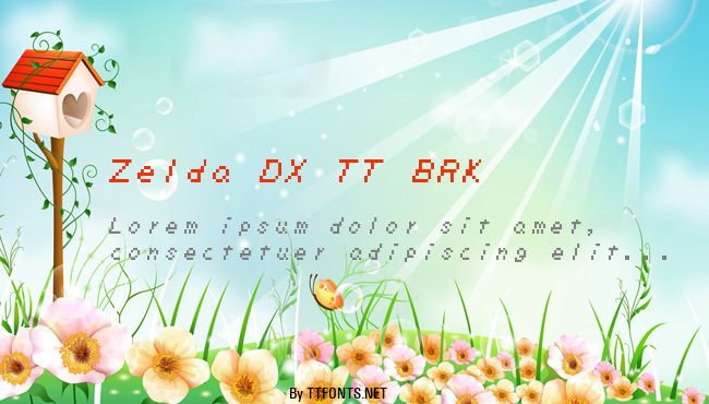Zelda DX TT BRK example