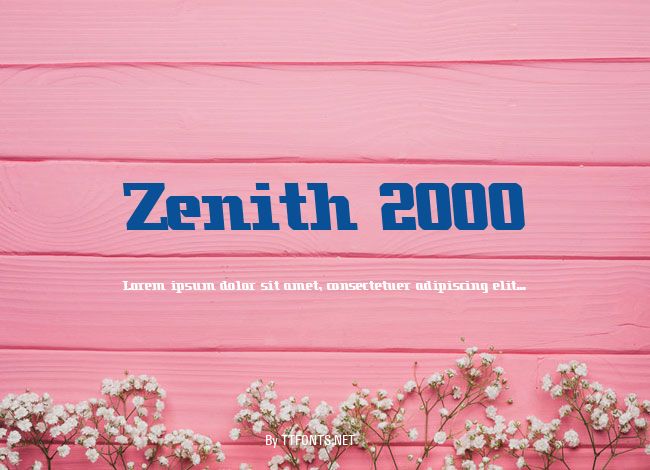Zenith 2000 example