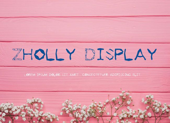 Zholly Display example