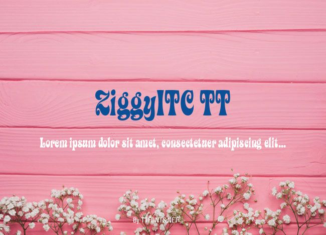 ZiggyITC TT example