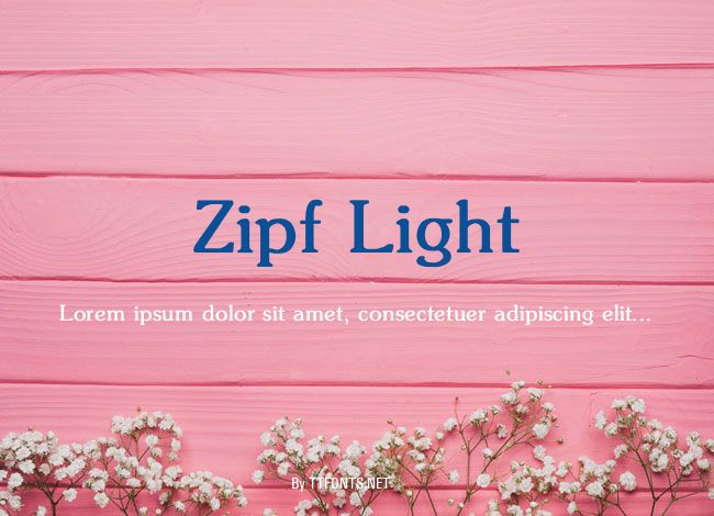 Zipf Light example