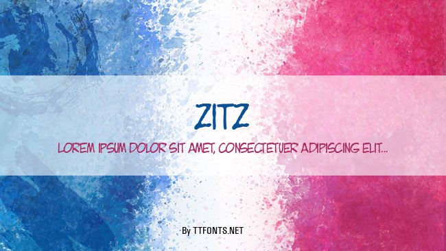 ZITZ example