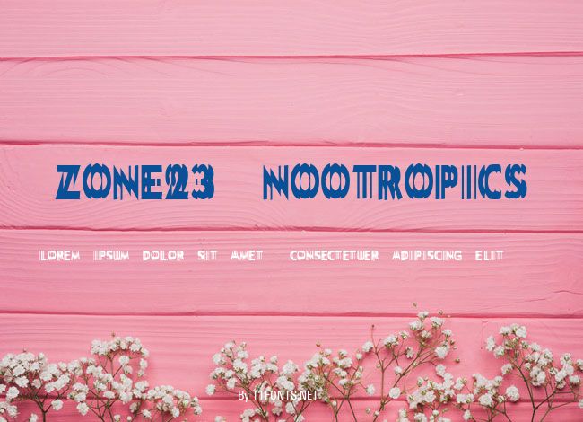 Zone23_nootropics example