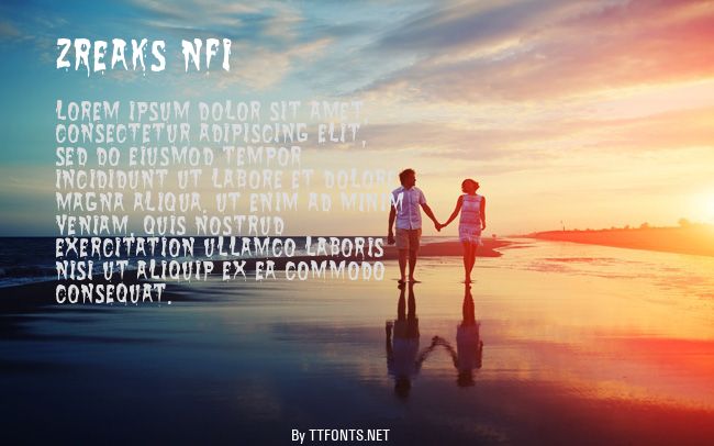 Zreaks NFI example