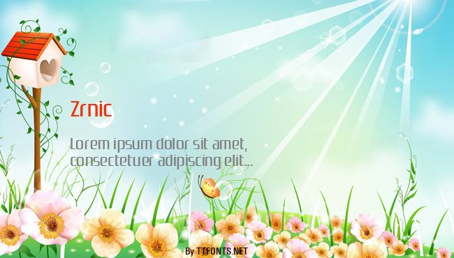 Zrnic example
