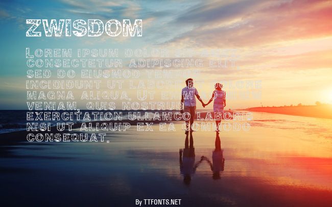 ZWISDOM example