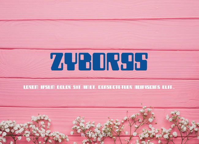 Zyborgs example