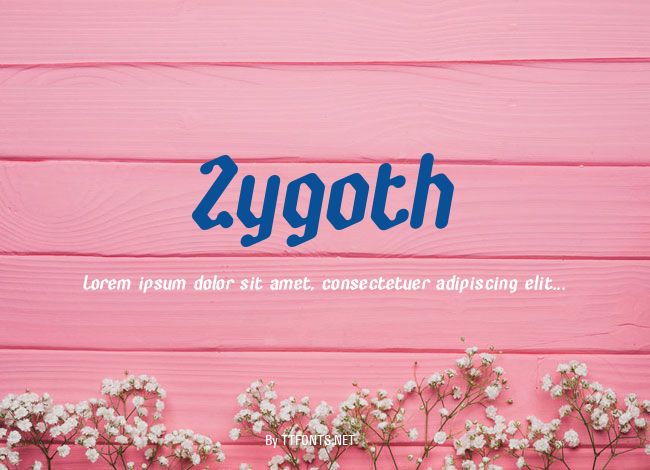 Zygoth example