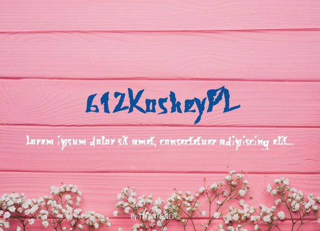 612KosheyPL example