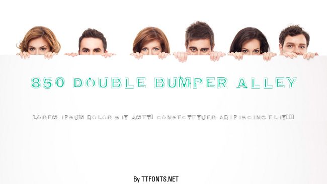 850 double bumper alley example
