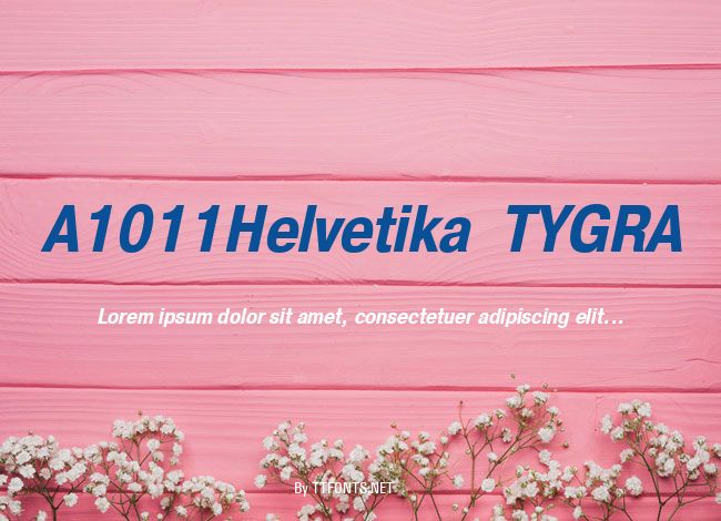 A1011Helvetika  TYGRA example