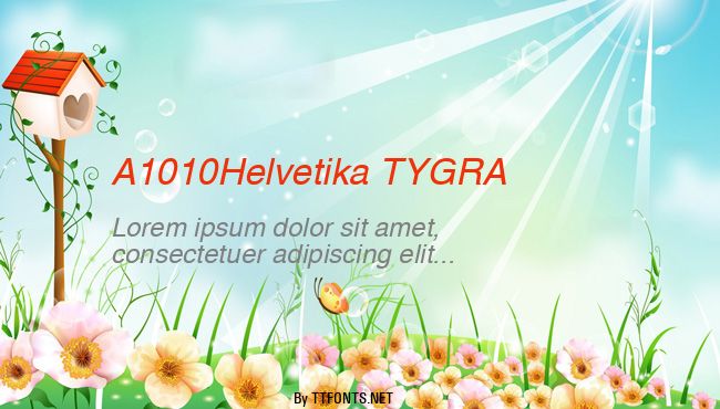 A1010Helvetika TYGRA example