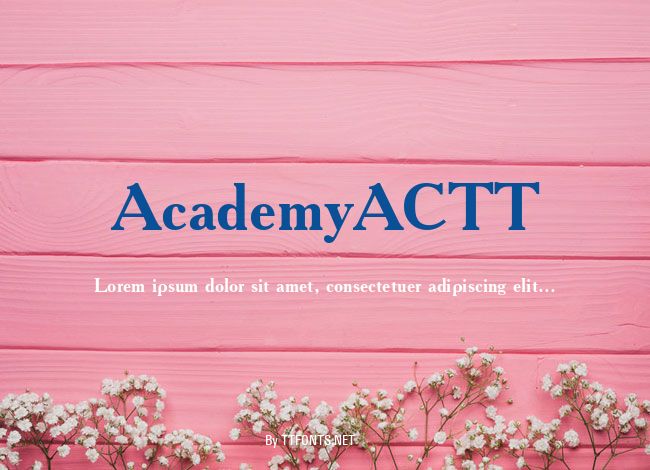AcademyACTT example