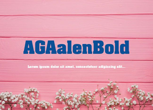 AGAalenBold example