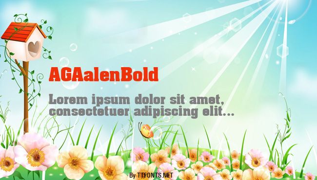 AGAalenBold example