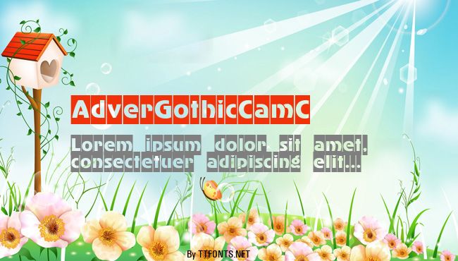 AdverGothicCamC example