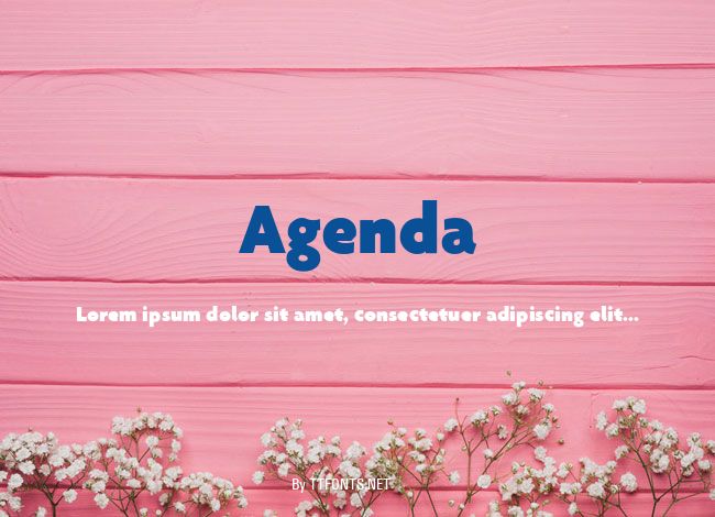 Agenda example