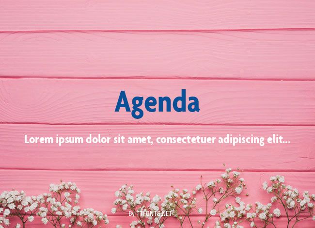 Agenda example