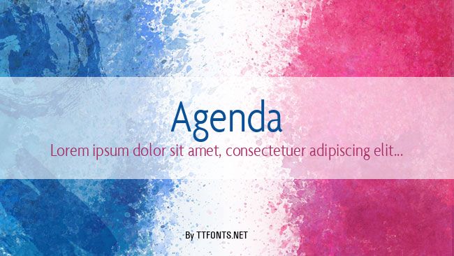 Agenda example