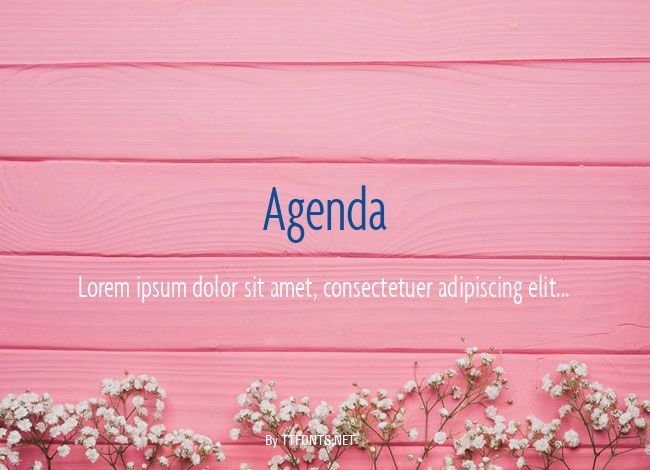 Agenda example