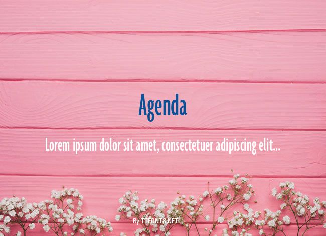 Agenda example