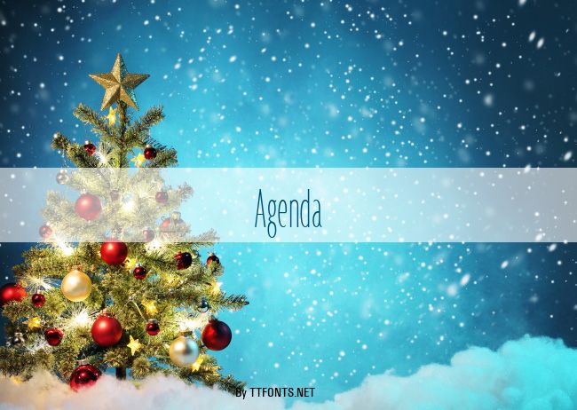 Agenda example