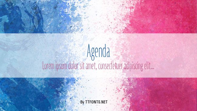 Agenda example
