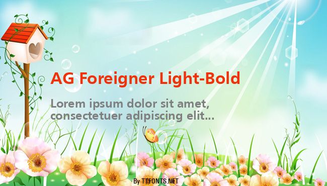 AG Foreigner Light-Bold example