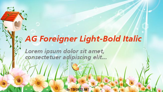 AG Foreigner Light-Bold Italic example