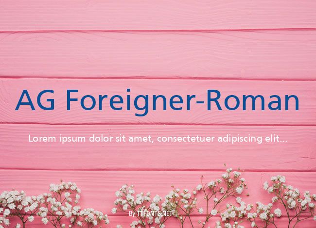 AG Foreigner-Roman example