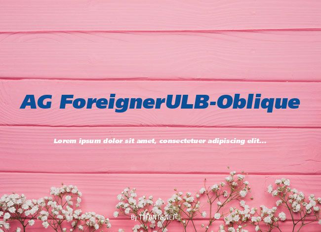 AG ForeignerULB-Oblique example