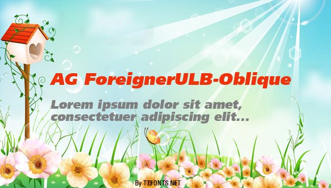 AG ForeignerULB-Oblique example