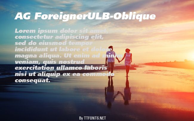 AG ForeignerULB-Oblique example